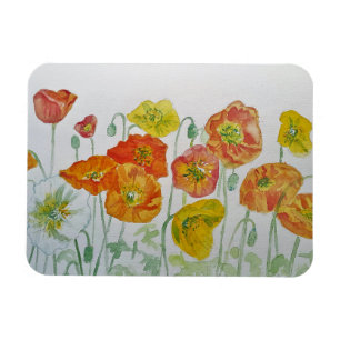 Orange red Poppies Watercolour Birthday Magnet