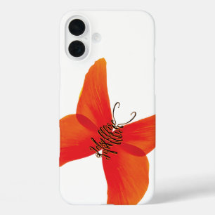 Orange Red Poppy Butterfly with Your Name iPhone 16 Plus Case