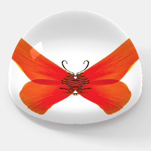 Orange Red Poppy Butterfly with Your Name Paperweight