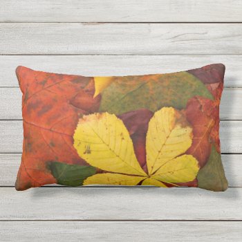 Orange  Red  Yellow Autumn Leaves Outdoor Pillow by ForEverProud at Zazzle