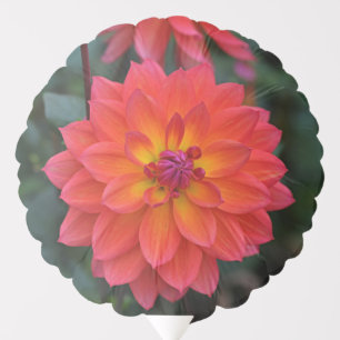 Orange, Red, Yellow Dahlia Flower Happy Birthday Balloon