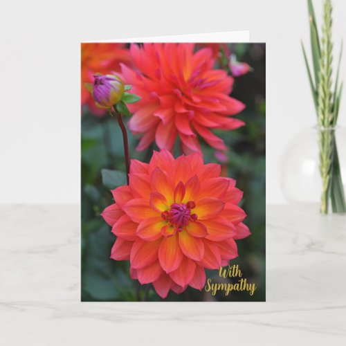 Orange Red Yellow Dahlia Flower With Sympathy Card