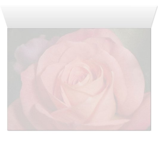 Orange Rose (Inside Horizontal (Bottom))