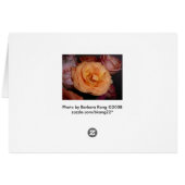 Orange Rose (Back Horizontal)