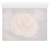 Orange Rose (Inside Horizontal (Bottom))