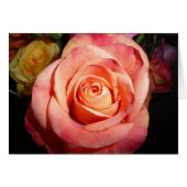 Orange Rose (Front Horizontal)