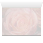 Orange Rose (Inside Horizontal (Bottom))