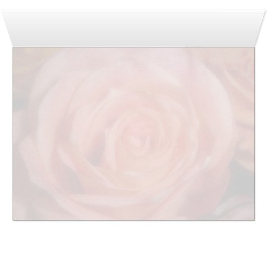 Orange Rose (Inside Horizontal (Bottom))