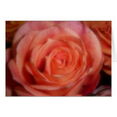 Orange Rose (Front Horizontal)