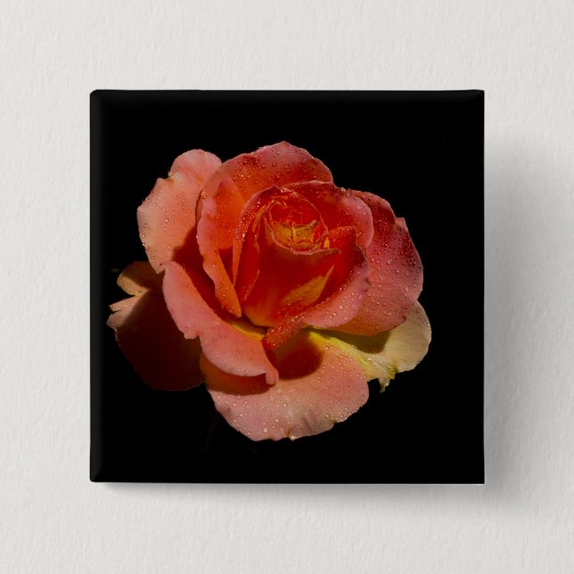 Orange Rose 2 Pinback Button (Front)
