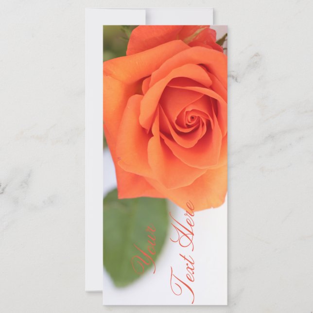 Orange Rose Add Your Text Flat Card (Front)