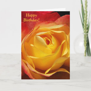 Orange Rose Birthday Card