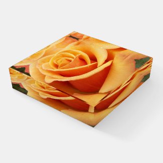 Orange Rose Bloom Floral Paperweight