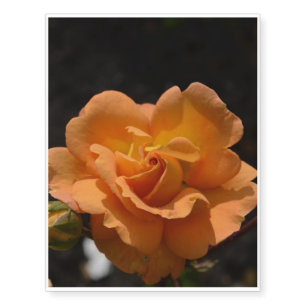 Orange Rose Bush Temporary Tattoos