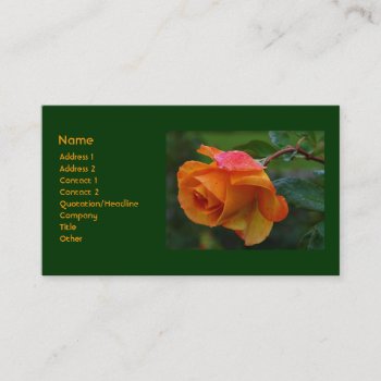 Orange Rose Business Card by stellerangel at Zazzle