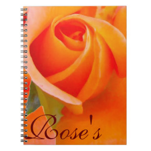 Orange Rose by Alexandra Cook Notebook