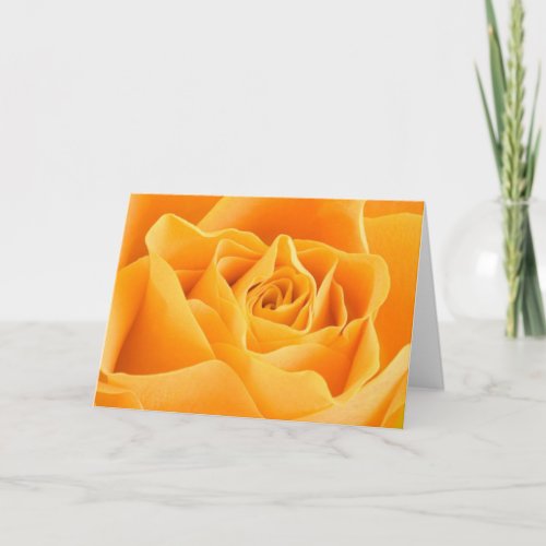 Orange Rose Card