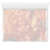 Orange Rose Card (Inside Horizontal (Bottom))