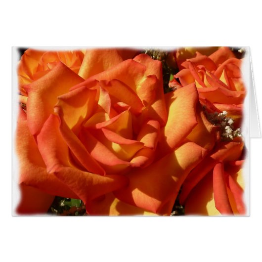 Orange Rose Card (Front Horizontal)