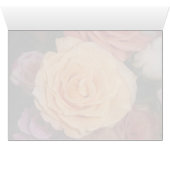 Orange Rose Cards (Inside Horizontal (Bottom))
