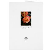 Orange Rose Cards (Back)