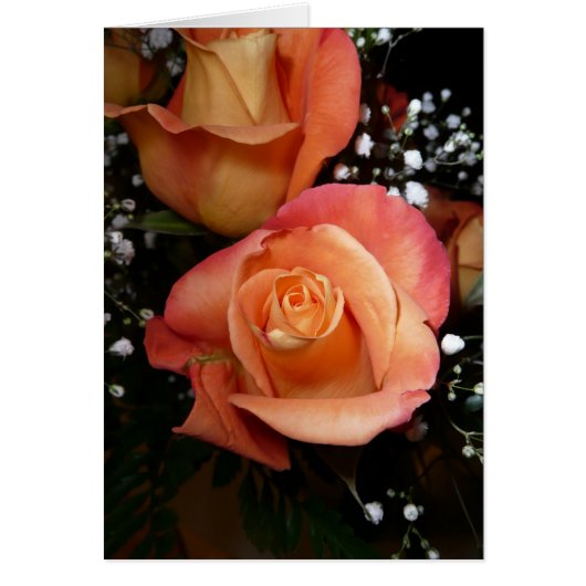 Orange Rose Cards (Front)