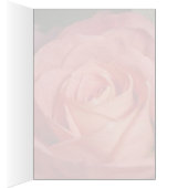 Orange Rose Cards (Inside (Right))
