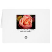 Orange Rose Cards (Back Horizontal)