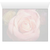 Orange Rose Cards (Inside Horizontal (Bottom))