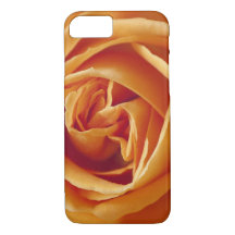 Orange Rose