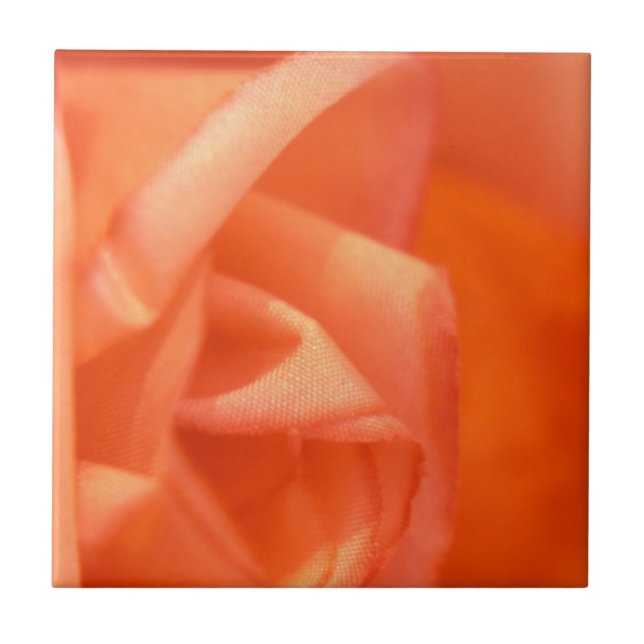 Orange rose ceramic tile (Front)