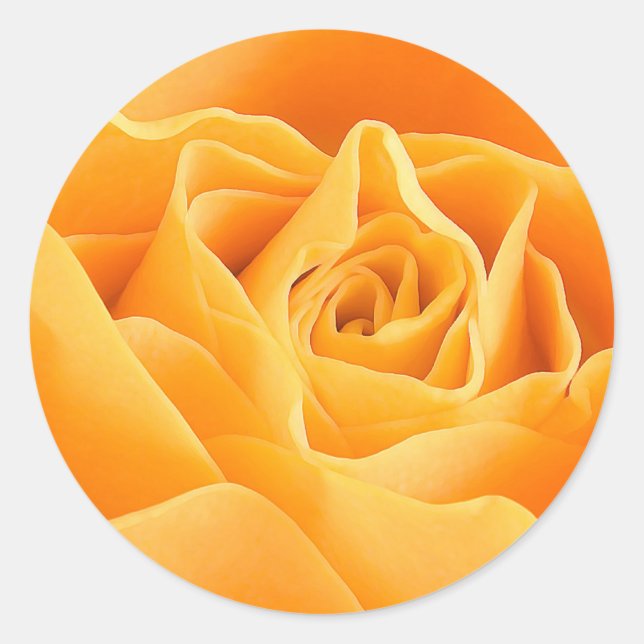 ORANGE ROSE CLASSIC ROUND STICKER (Front)