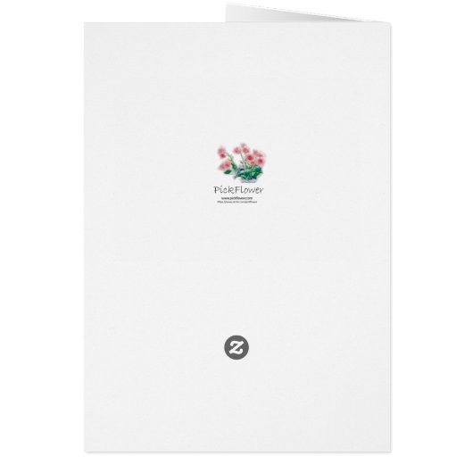 Orange Rose Close-up (Back)