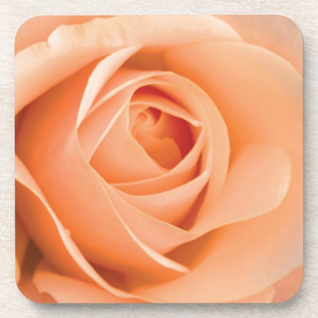 Orange Rose Drink Coaster (Front)