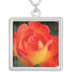 Orange Rose Floral Silver Plated Necklace