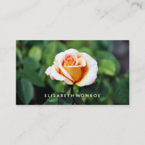 Orange Rose Floristry Business Card
