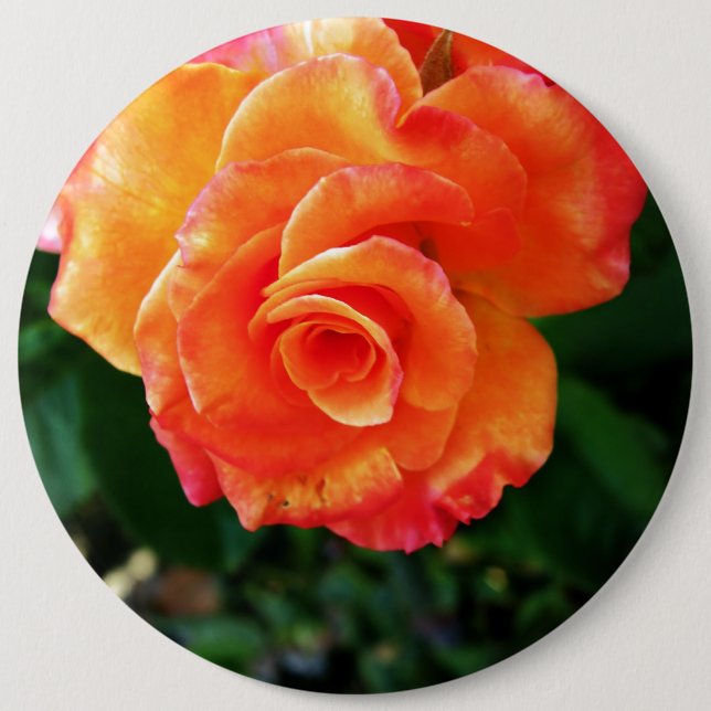 Orange rose flower button (Front)