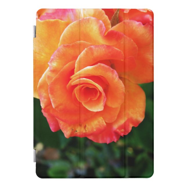 Orange rose flower iPad pro cover (Front)