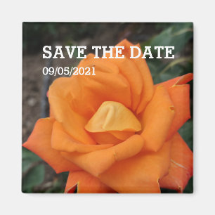 Orange rose flower magnet