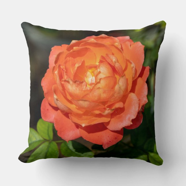Orange rose flowers throw pillow (Front)