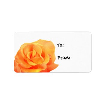 Orange Rose Gift Tags by ChristyWyoming at Zazzle