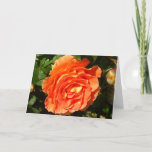 Orange Rose I Pretty Floral Card