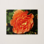Orange Rose I Pretty Floral Jigsaw Puzzle