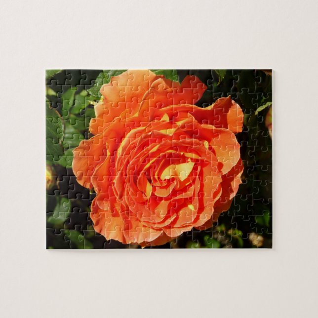 Orange Rose I Pretty Floral Jigsaw Puzzle (Horizontal)