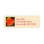 Orange Rose I Pretty Floral Label