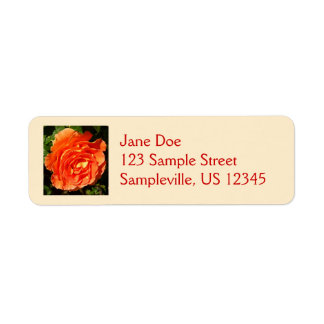 Orange Rose I Pretty Floral Label