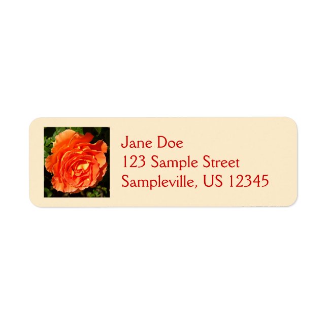 Orange Rose I Pretty Floral Label (Front)