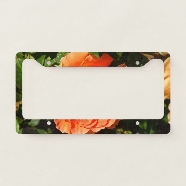 Orange Rose I Pretty Floral License Plate Frame (Front)