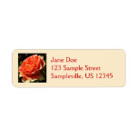 Orange Rose II Beautiful Floral Label
