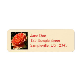 Orange Rose II Beautiful Floral Label